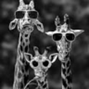 Meet your Posher, Michaelson